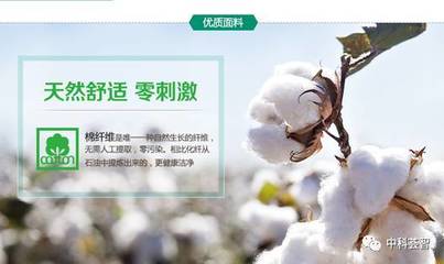 一朵棉花，一個(gè)國牌 醫(yī)用敷料OEM的國民品牌轉(zhuǎn)型與資本之路